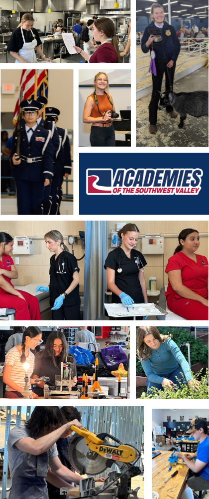 cte-academies